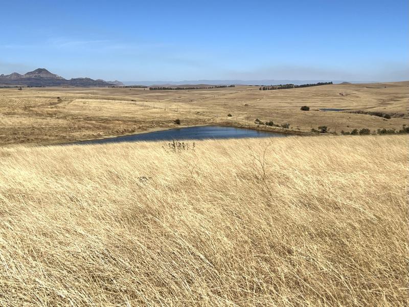 0 Bedroom Property for Sale in Harrismith Free State